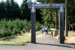 Rediscovery Forest