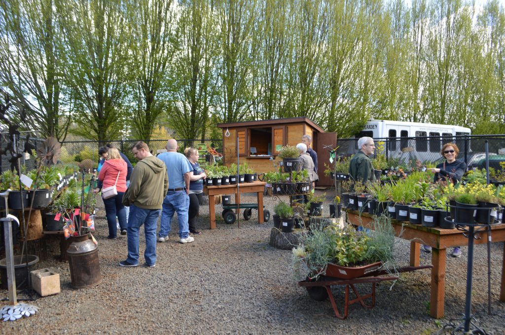 Los visitantes compran en el Vivero al por menor del Jardín de Oregón