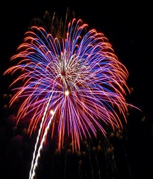 July 3rd fireworks at The Oregon Garden