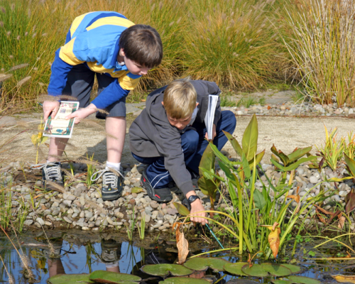 OFRI Natural Resources Education Program at The Oregon Garden