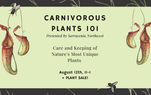 Carnivorous plant workshop at The Oregon Garden