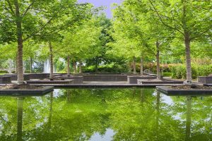 Bosque at The Oregon Garden