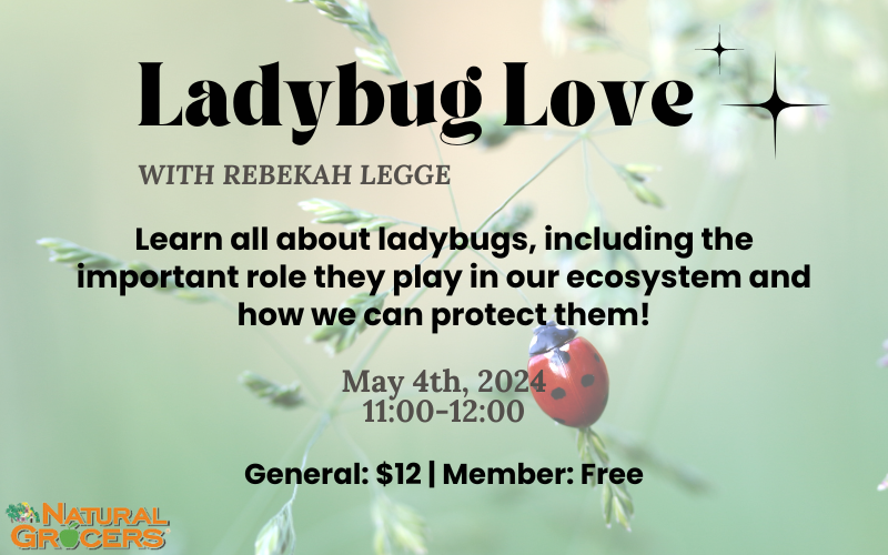 Ladybug workshop at The Oregon Garden