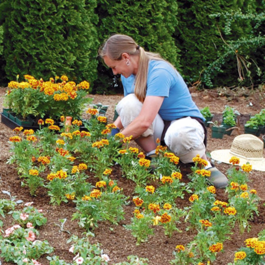 Oregon Garden Silverton Oregon volunteer opportunities