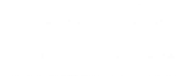 legacy-in-bloom-white
